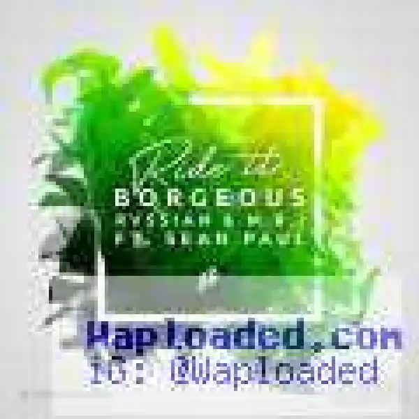 Borgeous - Ride It ft. Rvssian, M.R.I & Sean Paul